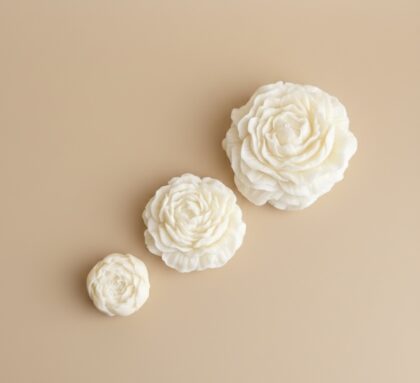 Piwonie trzy rodzaje