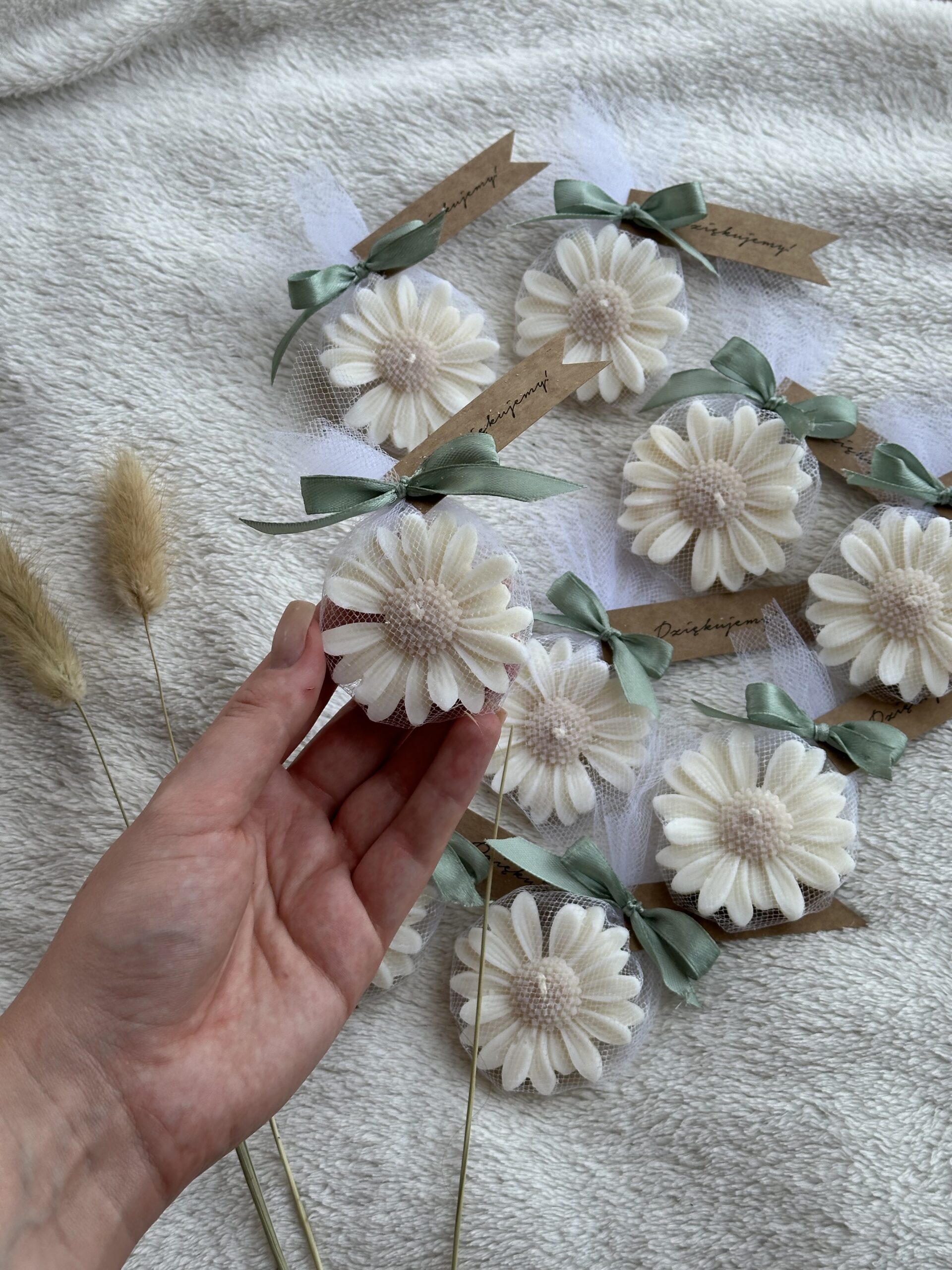 Stokrotka brązowy środek