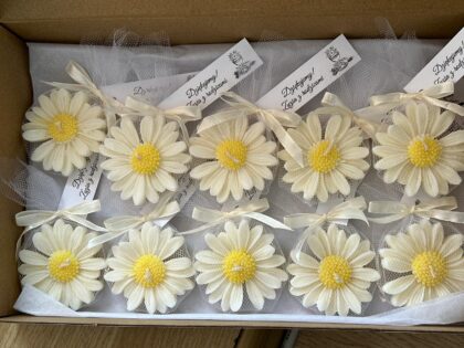 Stokrotki żółty środek